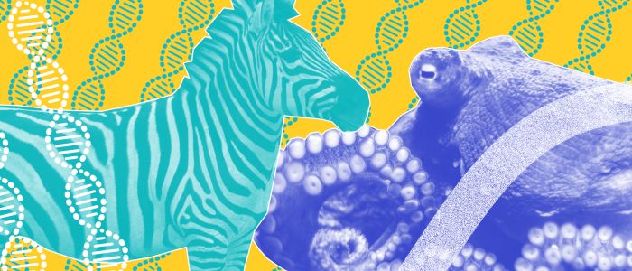 План створення генетичного банку Землі може врятувати життя