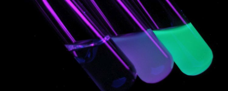 Дослідники стверджують, що ультрафіолетове світло може вбивати віруси грипу