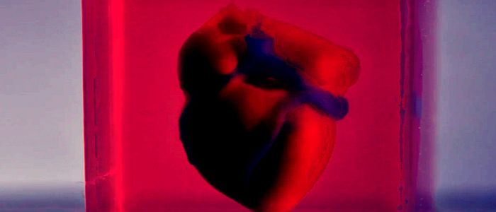 Дослідники створили 3d-друковане серце з тканин людини