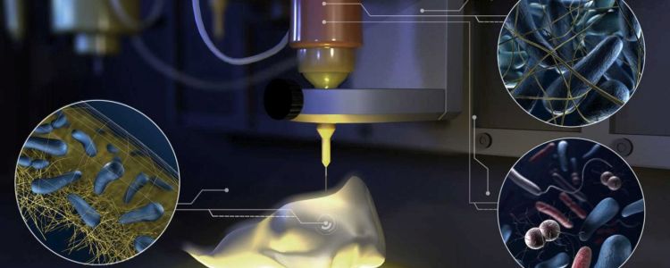 Дослідники створили платформу, яка друкує живу матерію