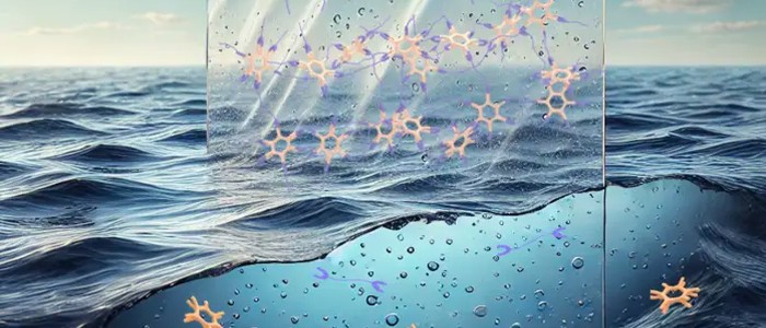 Дослідники розробили новий пластик на основі супрамолекулярних полімерів