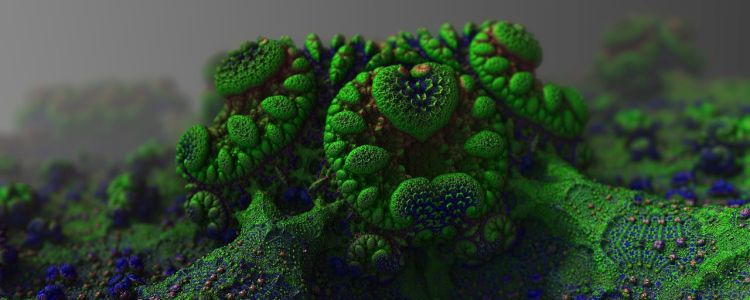 Дослідники знайшли грибок, який розкладає пластик протягом декількох тижнів