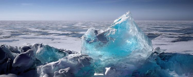 Переосмислення інопланетян: ми знайшли життя в місці, яке вважалося стерильним