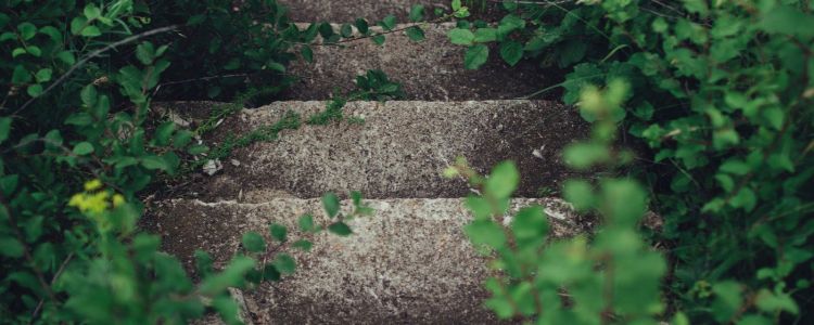 Революційний метод уловлювання вуглецю робить будівельні матеріали з викидів