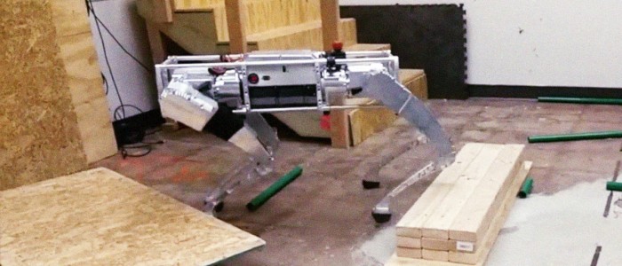 Робособака замінює чірлідерок у святкуванні забитого гола