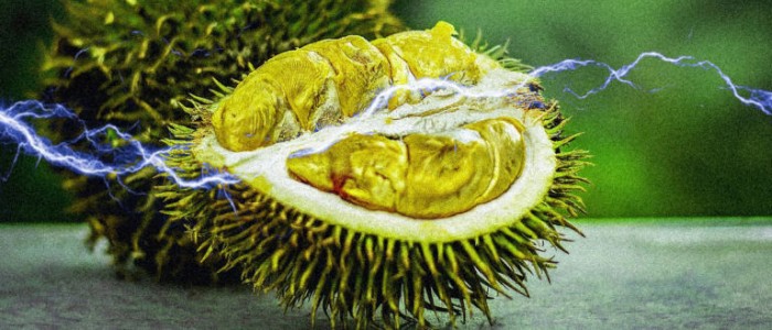 Вчені зберігають енергію, використовуючи харчові відходи