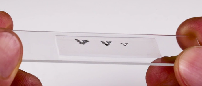 Вчені побудували самі крихітні літальні апарати у світі розміром менше піщинки