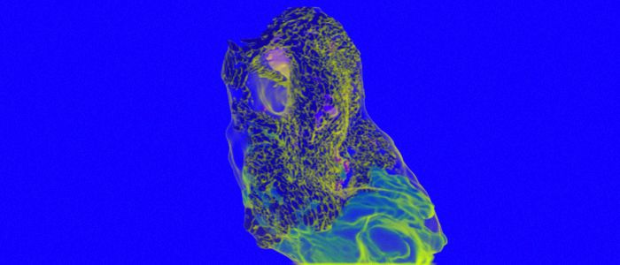 Вчені стверджують, що виявили новий орган в черепі людини