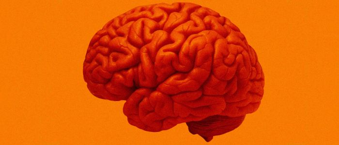 Вчені завершили перше випробування на людях вакцини проти раку мозку