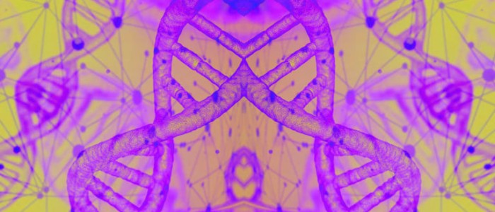 Вчені створили штучний геном, який може відтворюватися