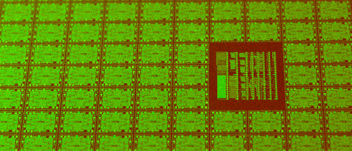 Вчені створюють ліки проти раку без будь-яких випробувань на тваринах