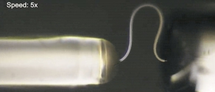 Вчені створили гнучкий лід, який може гнутися як дріт