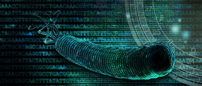 Вчені стверджують, що створили нову форму життя, досконалішу за ту, яку створила природа