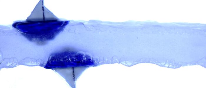 Вчені представили ширяючий «антигравітаційний» прилад