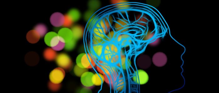 Вчені виявили сплеск присмертної мозкової активності у пацієнтів у комі