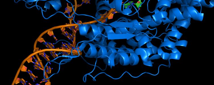 Вчені виявили «перемикач», який знищує будь-яку ракову клітину