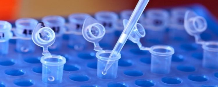 Вчені розробляють неімунні клітини, які вбивають рак при контакті