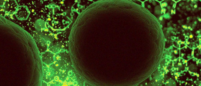 Вчені виявили «загадковий» вірус, що майже не має відомих генів