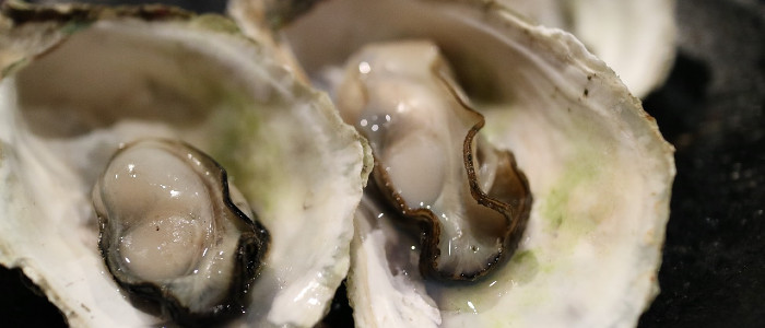 Вчені виявили деформації тканин в морепродуктах, пов'язані з розливом нафти