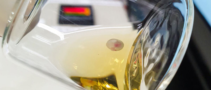 Вчені виростили мишачі ембріони в штучній утробі 