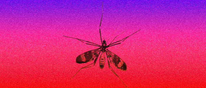 Вчені винайшли «високоефективну» вакцину проти малярії