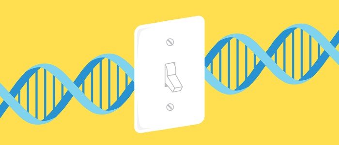 Вчені винайшли спосіб включати та вимикати гени, як вимикачі світла