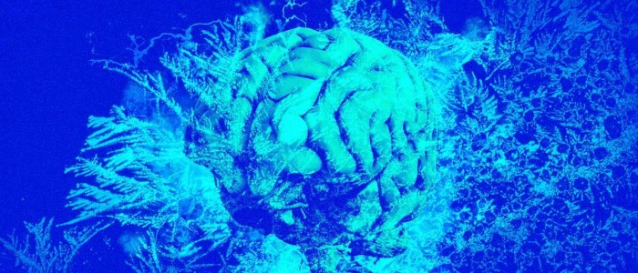 Вчені вперше помістили людей в стан анабіозу