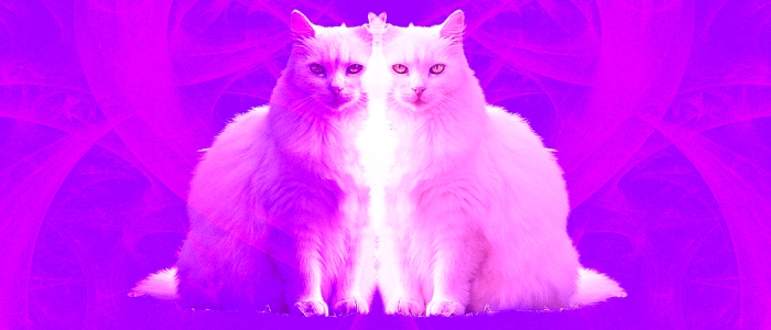 Вчені пророкують квантові стрибки, які перевернуть фізику з ніг на голову