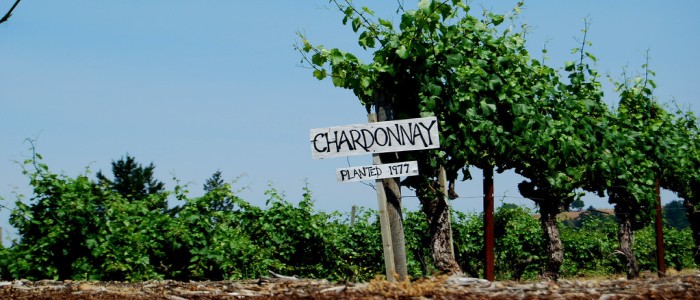 Вчені секвенували геноми Шардоне і Каберне Совіньйон