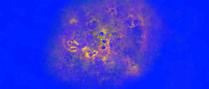 Вчені виявили одну з найбільш далеких галактик: МАМБО-9