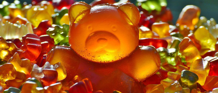 Вчені посилили м'язові клітини людини, вводячи їм «ведмежу сироватку»