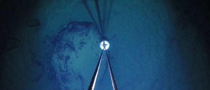 Вчені здивовані «дивними істотами» під антарктичним льодом