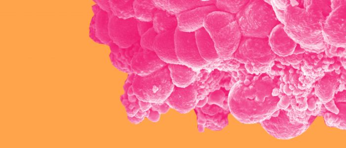 Вчені випробують нове лікування раку на людях у 2019 році