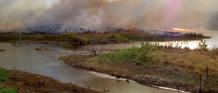 Вчені попереджають про «каскадне падінні системи» в тропічних лісах Амазонки