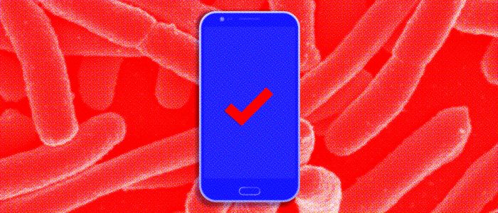 Нова технологія може допомогти зупинити харчове отруєння ще до початку