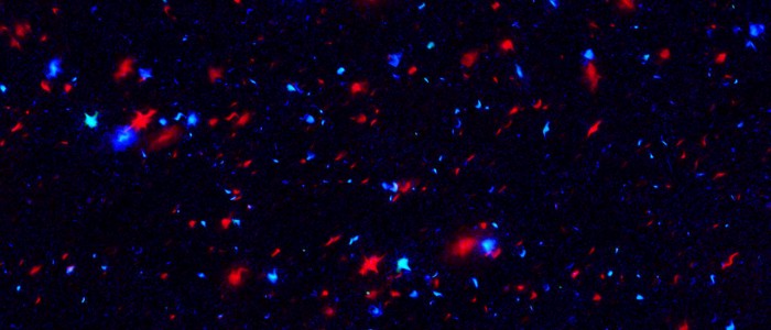 Вчені: щось у всесвіті виглядає не правильно