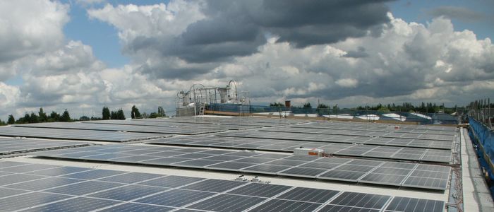 Сонячна батарея на бактеріях працює навіть під хмарним небом