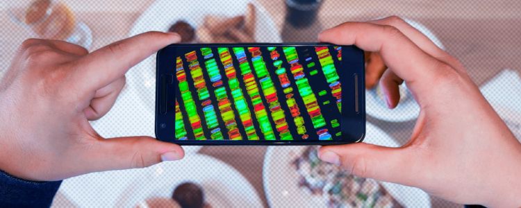 Вибачте, дієти на основі ДНК не працюють