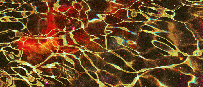 Питна вода на МКС кишить бактеріями