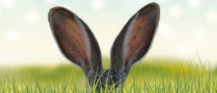 Вчений зі Стенфорда впевнений, що гаджети в вусі контролюватимуть наш мозок