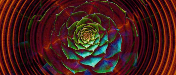 Цукор, світло і новий тип хімії проти викопного палива