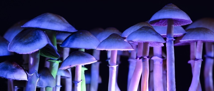 Одноразовий прийом псилоцибіну полегшує резистентну до лікування депресію