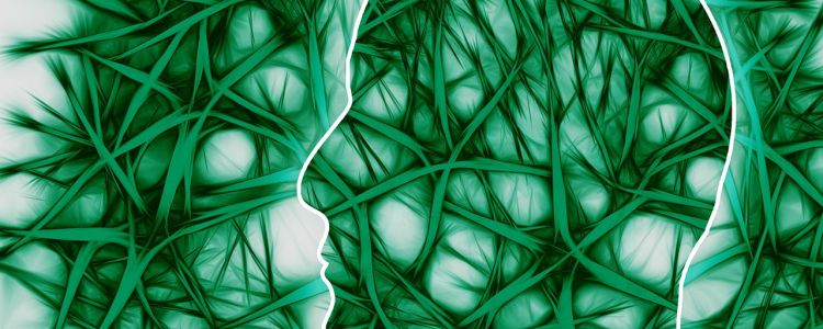 Це лікування розсіяного склерозу занадто добре, щоб бути правдою