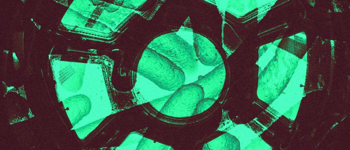 Міжнародна космічна станція кишить мікробами