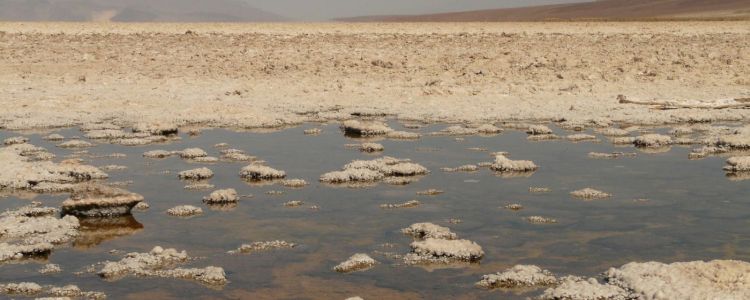 Втрата арктичного морського крижаного покриву може торкнутися мільйонів людей у ​​всьому світі