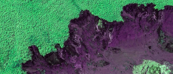 Танення Арктики випускає отруту, хвороби і ядерні відходи