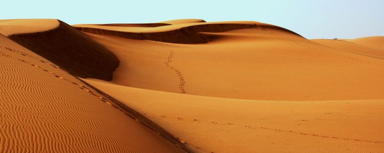 Світ зіткнувся з глобальною піщаною кризою