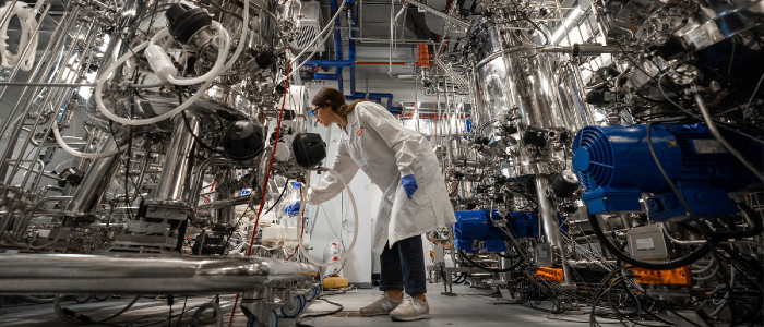 Перша у світі фабрика з вирощування штучного м'яса відкрилася в Ізраїлі