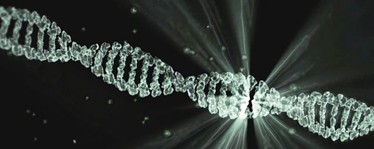 Нова теорія про те, як життя розвивається на базовому рівні