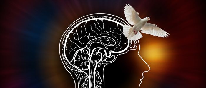 Штучний інтелект генерує відео із сигналів мозку